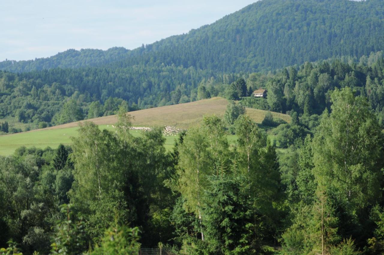 Sowinka Villa Lutowiska Buitenkant foto