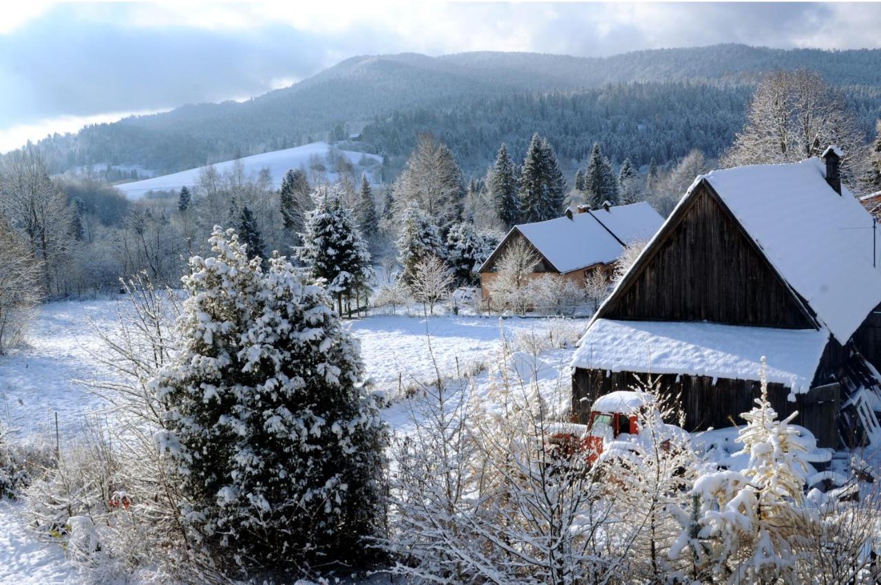 Sowinka Villa Lutowiska Buitenkant foto