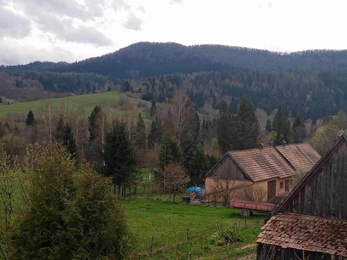 Sowinka Villa Lutowiska Buitenkant foto