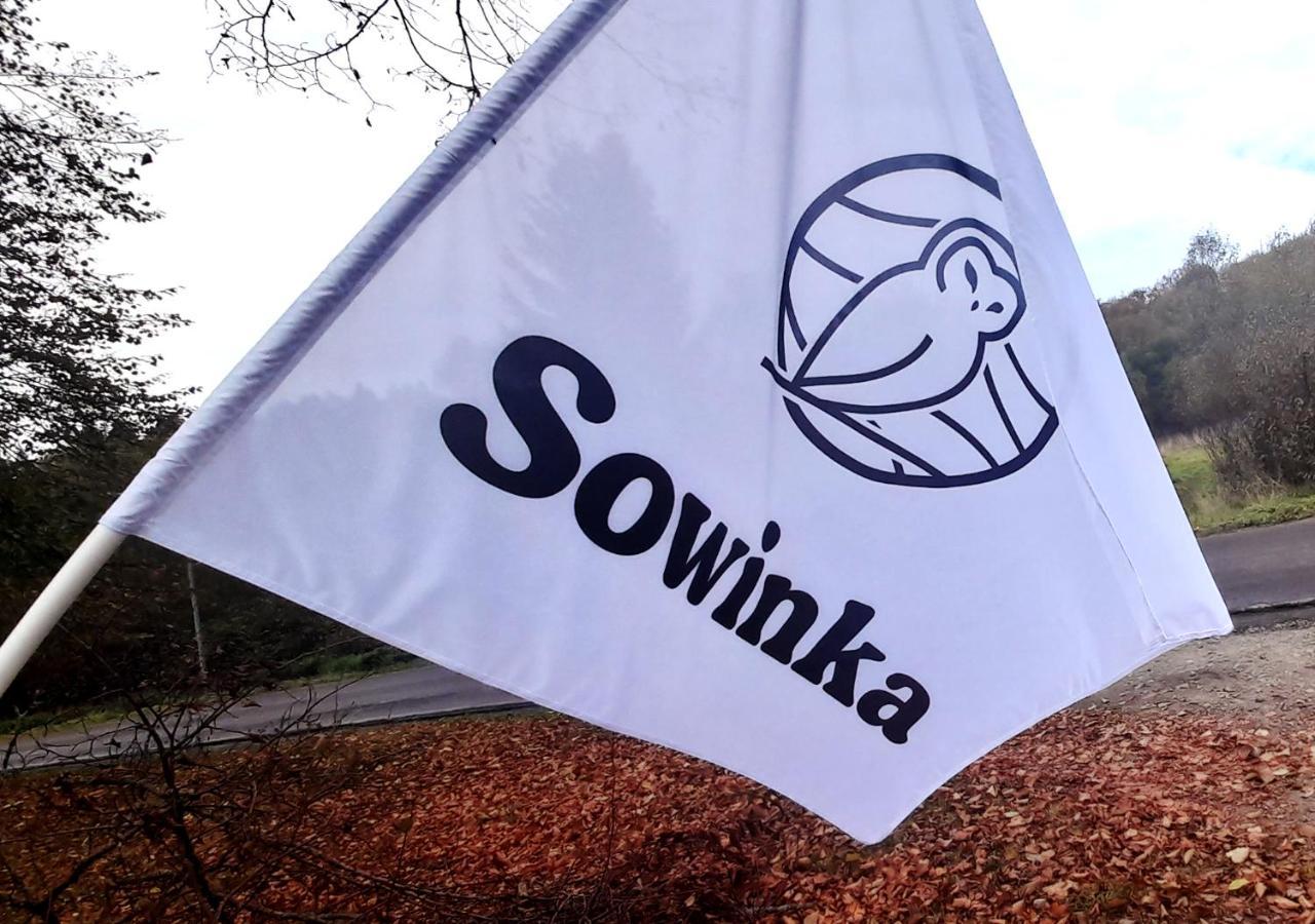 Sowinka Villa Lutowiska Buitenkant foto
