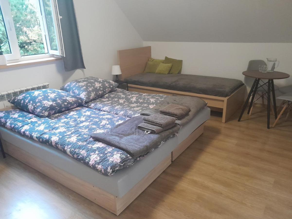 Sowinka Villa Lutowiska Buitenkant foto