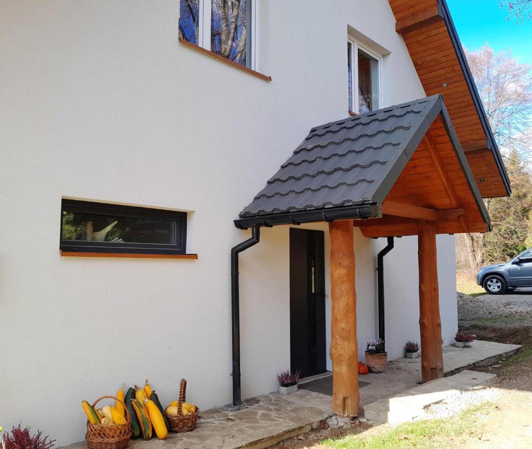 Sowinka Villa Lutowiska Buitenkant foto