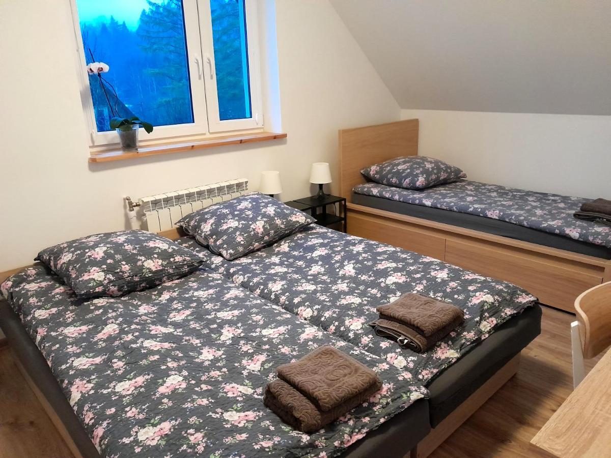Sowinka Villa Lutowiska Buitenkant foto