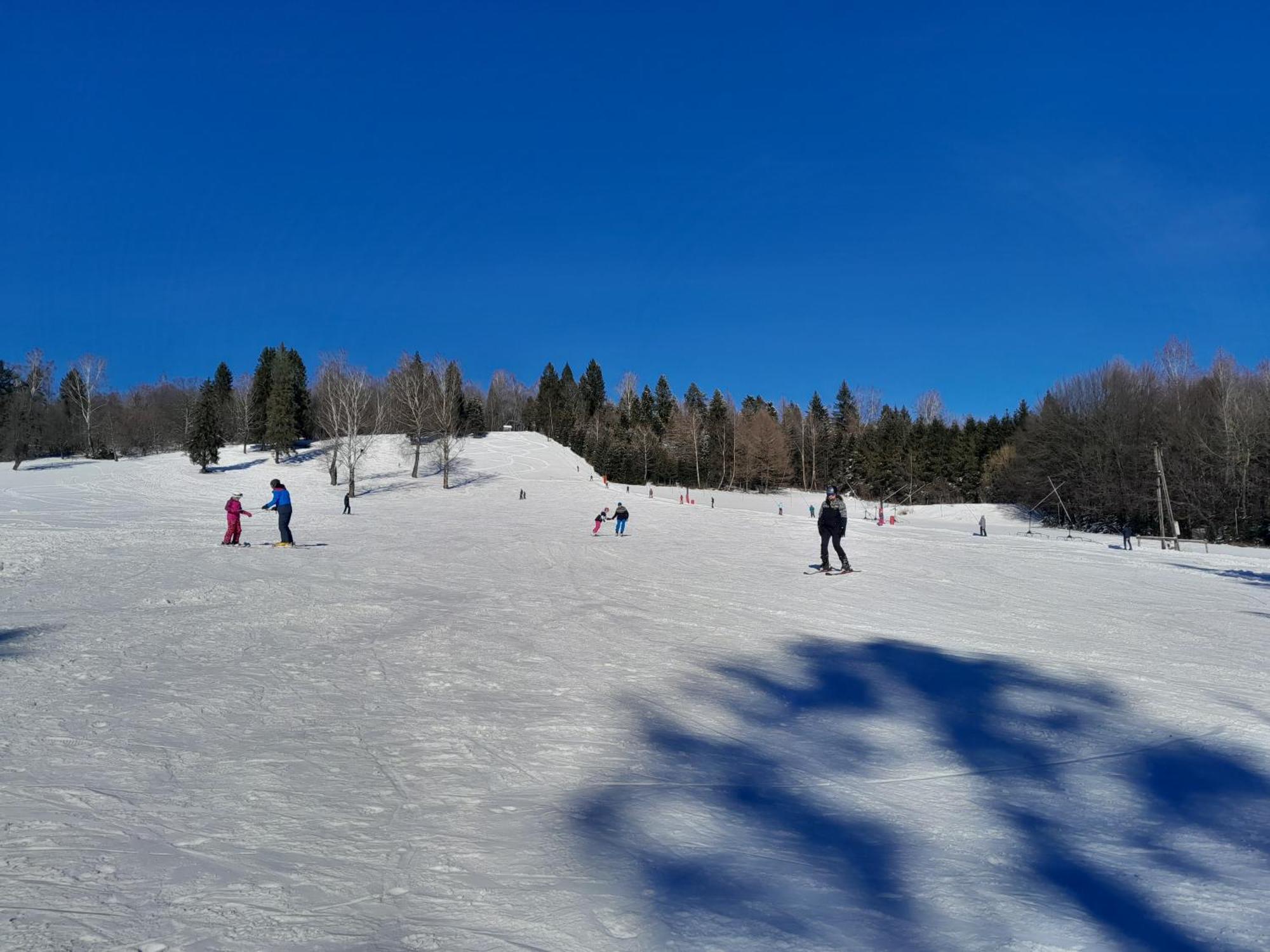 Sowinka Villa Lutowiska Buitenkant foto